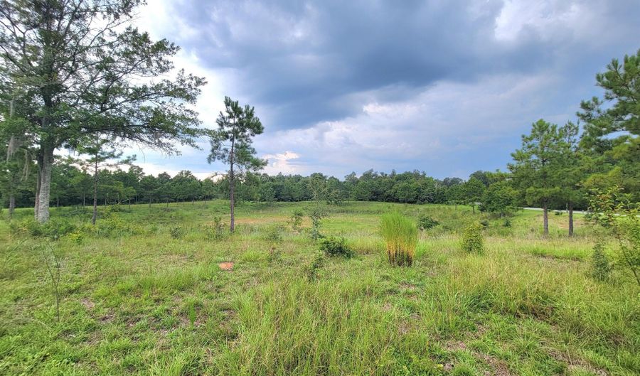 Lovedale Road, Bascom, FL 32423 - 0 Beds, 0 Bath