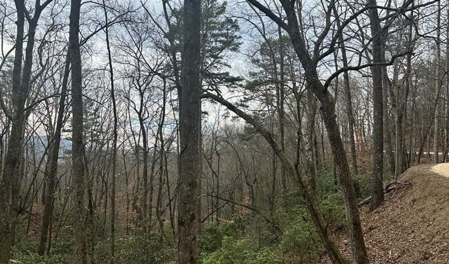 Tatham Gap Road, Andrews, NC 28901 - 0 Beds, 0 Bath