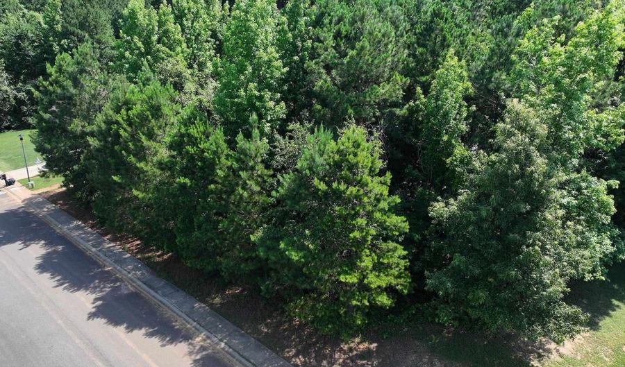 SOMERSET lot 3, Arkadelphia, AR 71923 - 0 Beds, 0 Bath