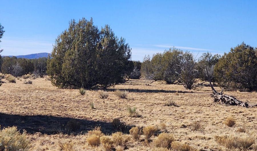 251 Se4 Juniperwood Rnch, Ash Fork, AZ 86320 - 0 Beds, 0 Bath