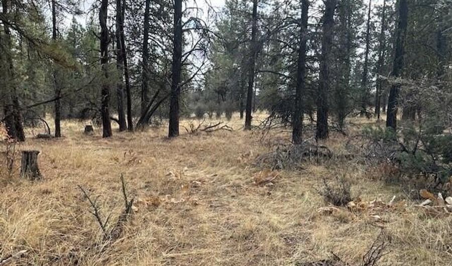 Chicken Hawk Drive Lot 20, Bonanza, OR 97623 - 0 Beds, 0 Bath