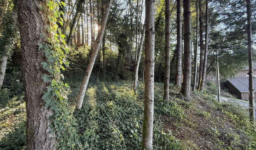 97923 PAYNE Rd, Brookings, OR 97415 - 3 Beds, 2 Bath