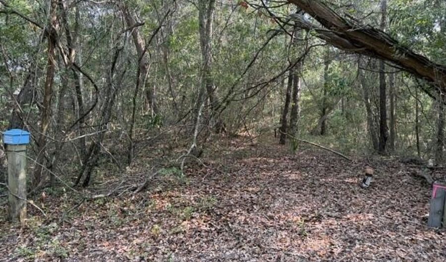6 Colonel William Rhett Trl, Bald Head Island, NC 28461 - 0 Beds, 0 Bath