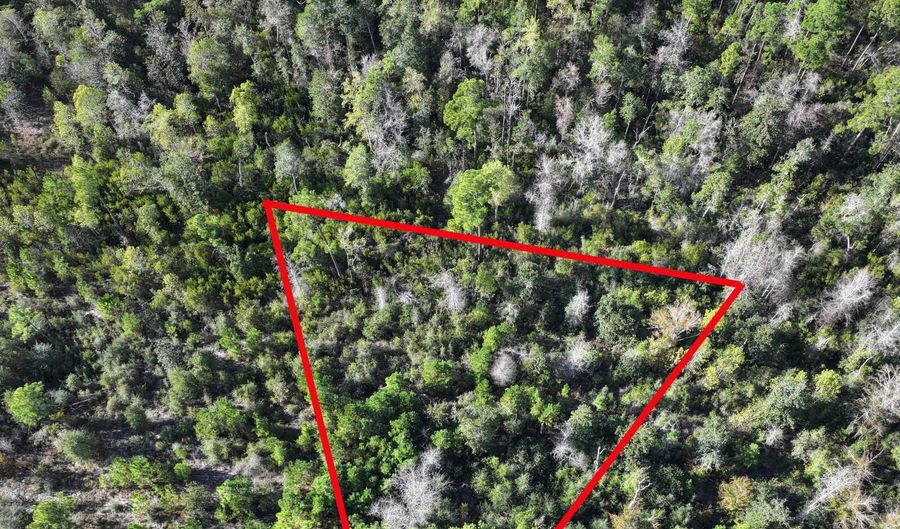 Pisgah Court, Alford, FL 32420 - 0 Beds, 0 Bath