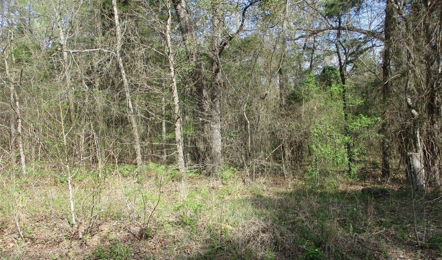 County Road 2958, Alba, TX 75410 - 0 Beds, 0 Bath
