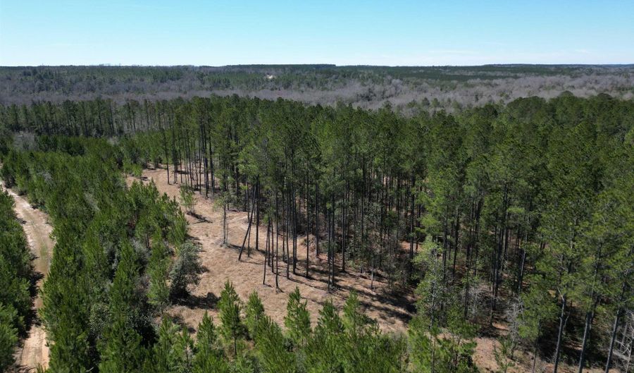 04 Robinsonville Rd, Atmore, AL 36502 - 0 Beds, 0 Bath