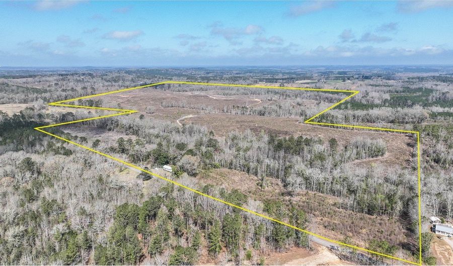 919 County Road 6628, Banks, AL 36005 - 0 Beds, 0 Bath