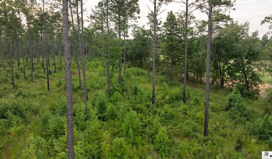GABE LANE, Bastrop, LA 71220 - 0 Beds, 0 Bath