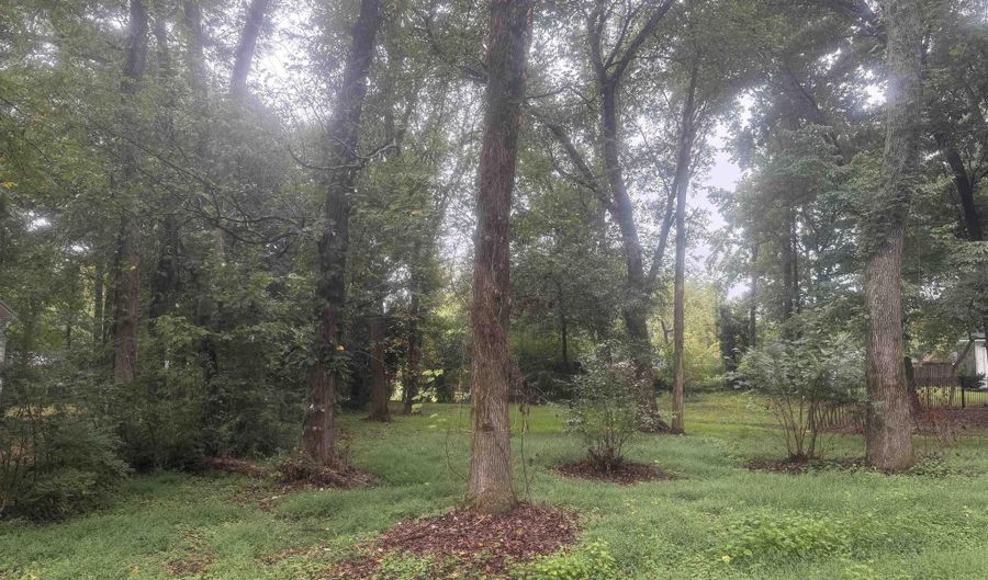 31 10th Ave, Arab, AL 35016 - 0 Beds, 0 Bath