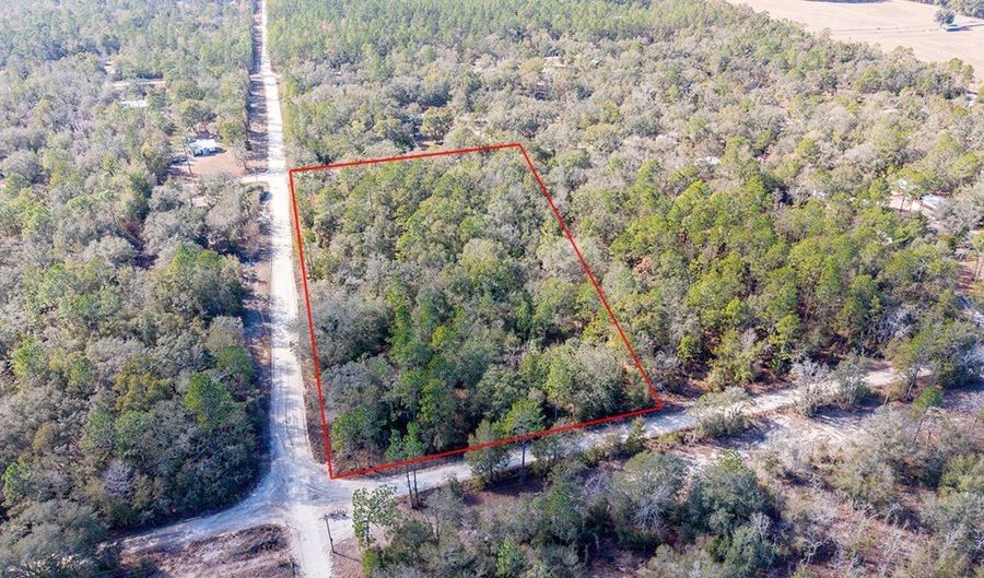 NW 10th Ave, Bell, FL 32619 - 0 Beds, 0 Bath