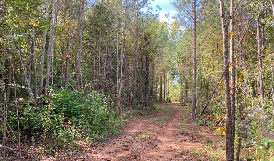 18 62 Ac Squirrell Hollow Rd, Alberta, VA 23821 - 0 Beds, 0 Bath