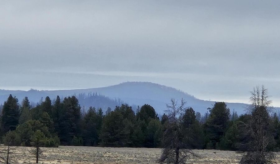 Bull Pine Road 173 Acres, Bly, OR 97622 - 0 Beds, 0 Bath