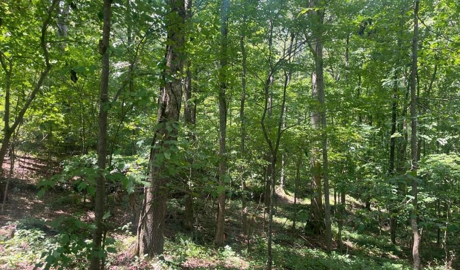 2049 Henry Scott Rd-LOT C 2.3 Acres, Ball Ground, GA 30107 - 0 Beds, 0 Bath