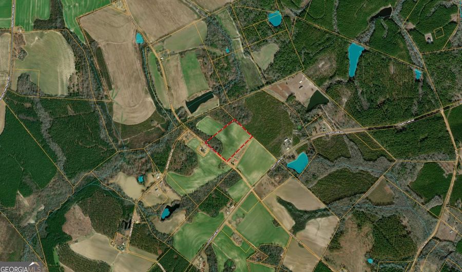 12 37 Acres- Lo Perry Horton, Adrian, GA 31002 - 0 Beds, 0 Bath