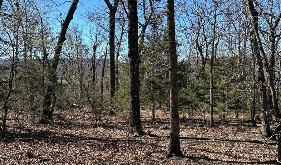 Carroll CR 978, Alpena, AR 72611 - 0 Beds, 0 Bath