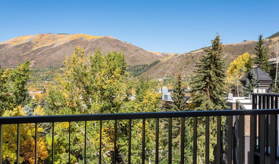 800 S Mill St 301C, Aspen, CO 81611 - 2 Beds, 2 Bath
