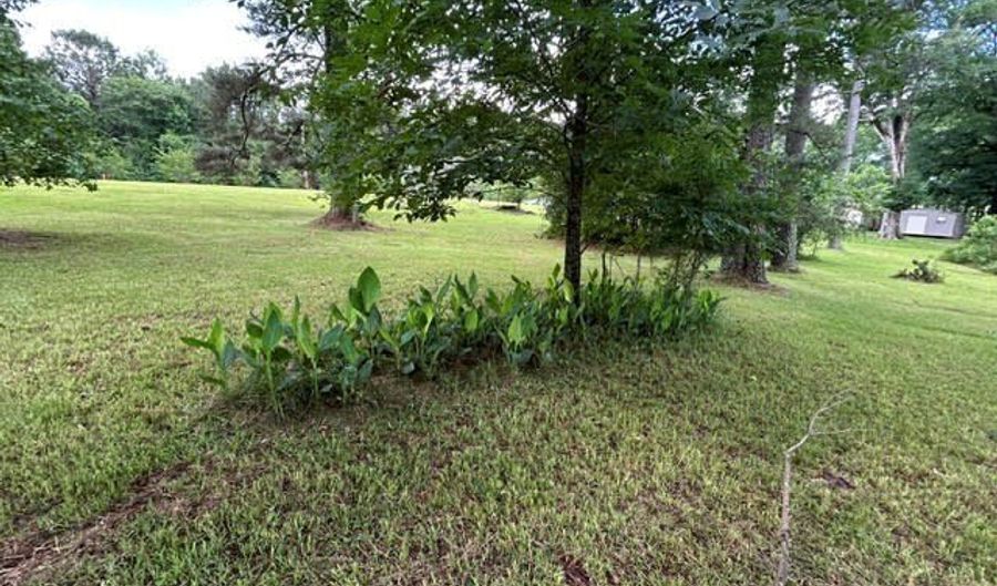 794 Highway 18 E, Bay Springs, MS 39422 - 0 Beds, 0 Bath