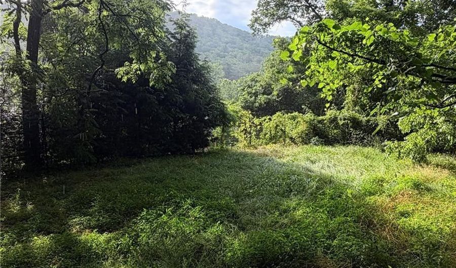 20 Utopia Rd, Asheville, NC 28805 - 1 Beds, 1 Bath