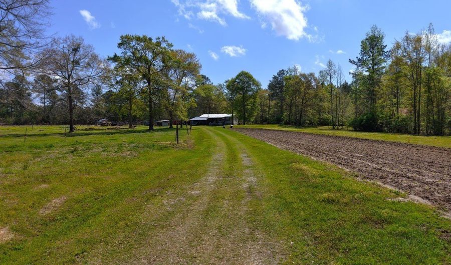 15910 County Road 34, Andalusia, AL 36420 - 3 Beds, 2 Bath