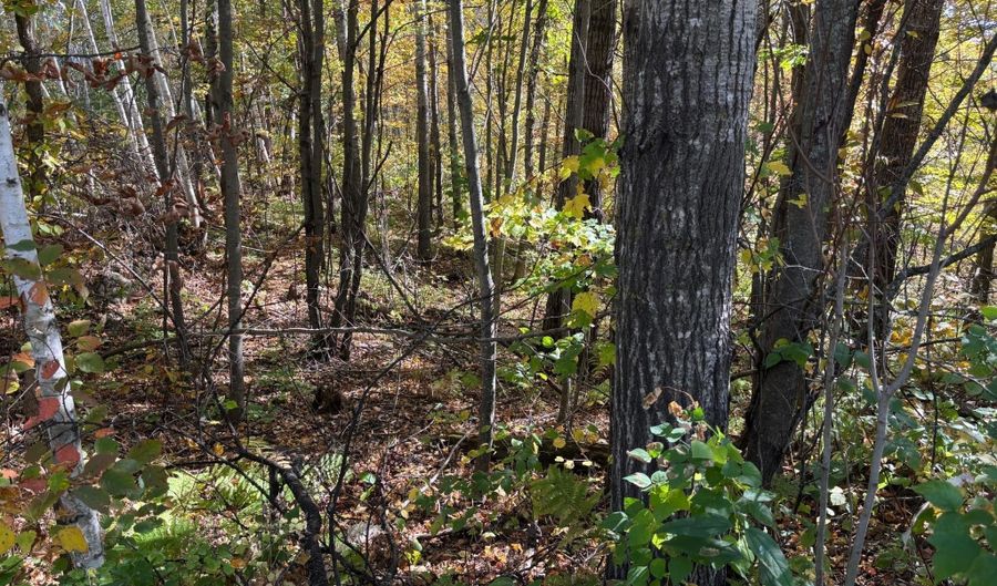 County Road 12, Akeley, MN 56433 - 0 Beds, 0 Bath