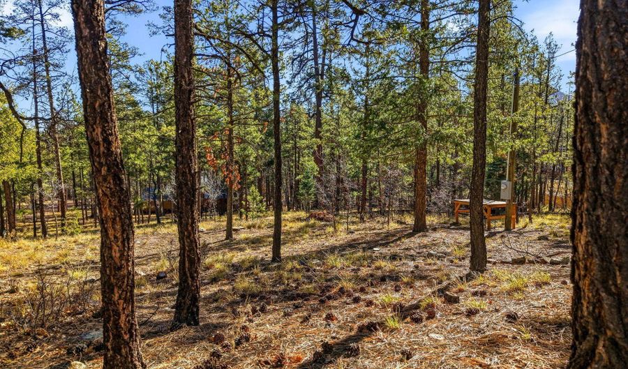 20 Co Rd 2067, Alpine, AZ 85920 - 0 Beds, 0 Bath