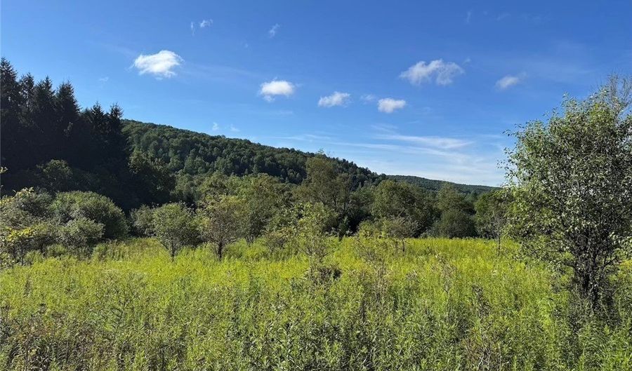 E Valley Road, Alfred, NY 14806 - 0 Beds, 0 Bath