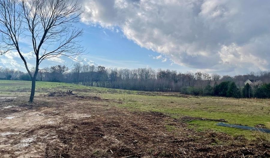 Lot 3 Thomas Twin Oaks Road, Baxter, TN 38544 - 0 Beds, 0 Bath