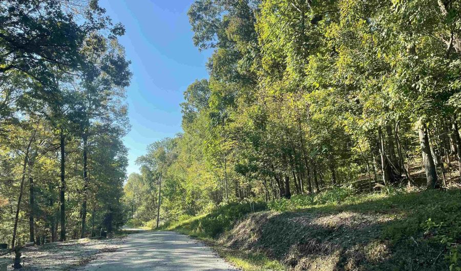 CROW Ln lot 50, Bath Springs, TN 38311 - 0 Beds, 0 Bath