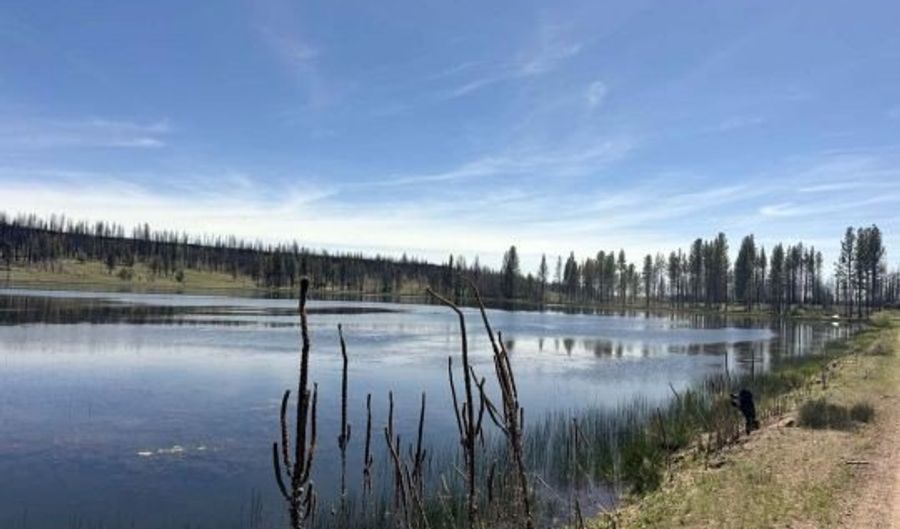 Off-Hicks Road, Bly, OR 97622 - 0 Beds, 0 Bath