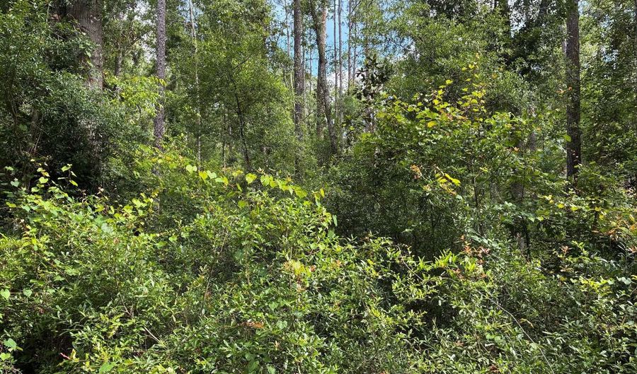 LOT66 PEACOCK HIDEAWAY, Live Oak, FL 32060 - 0 Beds, 0 Bath