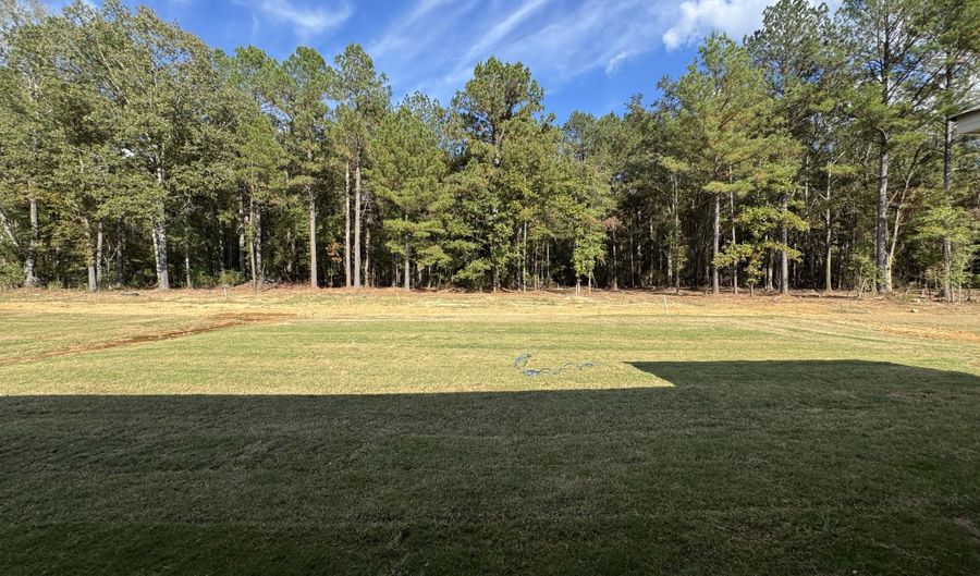 215 New Haven Ln, Brandon, MS 39042 - 4 Beds, 2 Bath