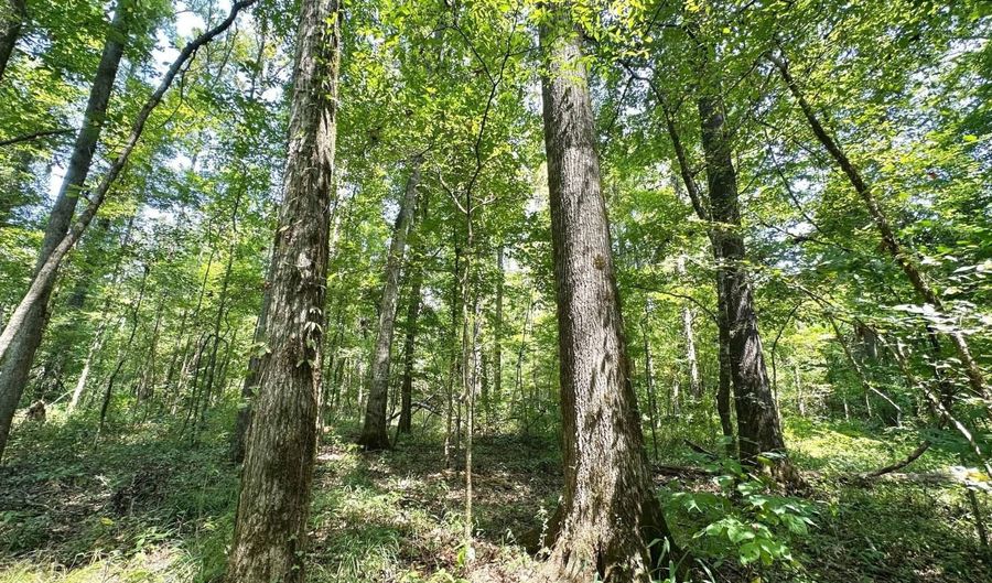 1 Champion Hill Rd, Bolton, MS 39041 - 0 Beds, 0 Bath