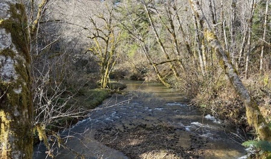 Steer Creek Rd, Blodgett, OR 97326 - 0 Beds, 0 Bath