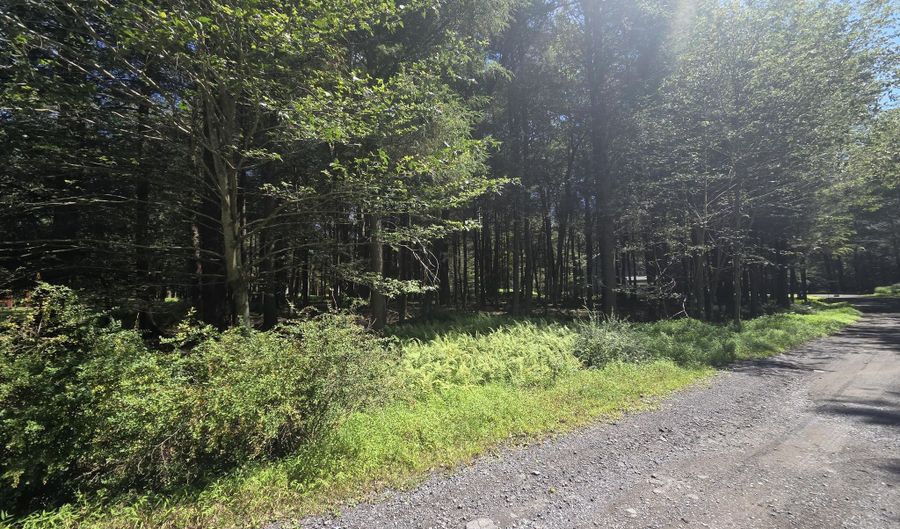 Lakeside Lane, Albrightsville, PA 18210 - 0 Beds, 0 Bath