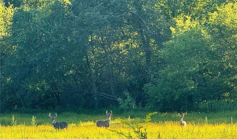 N3953-89 Bear Pen Road, Arkansaw, WI 54721 - 0 Beds, 0 Bath