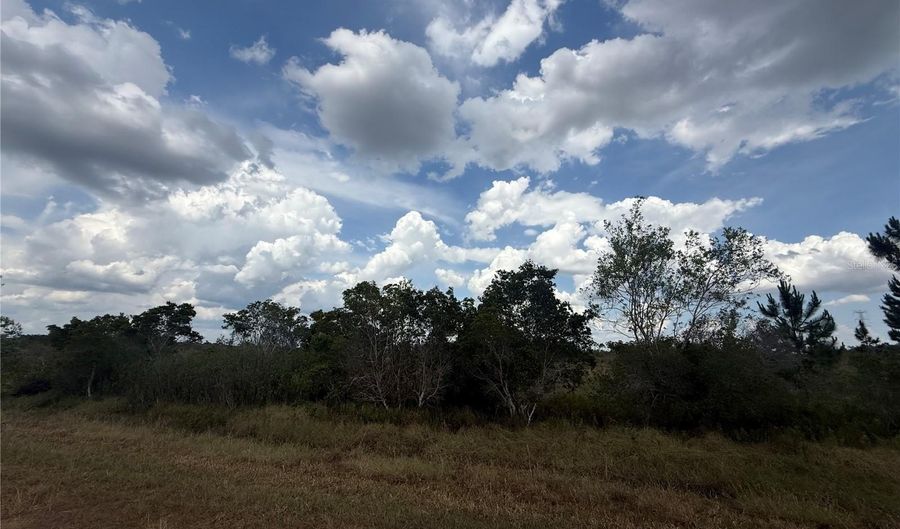 1565 S REED Rd, Avon Park, FL 33825 - 0 Beds, 0 Bath