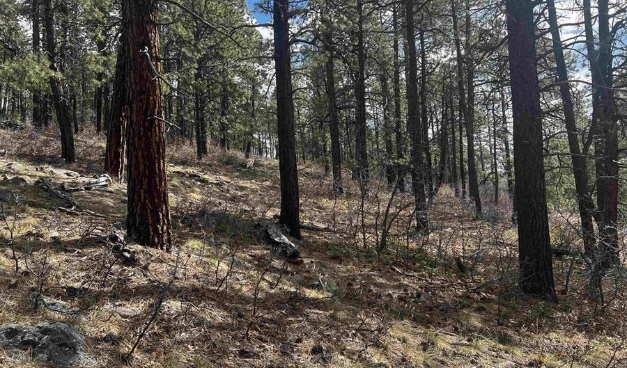101 Pine Crest Dr, Bayfield, CO 81122 - 0 Beds, 0 Bath