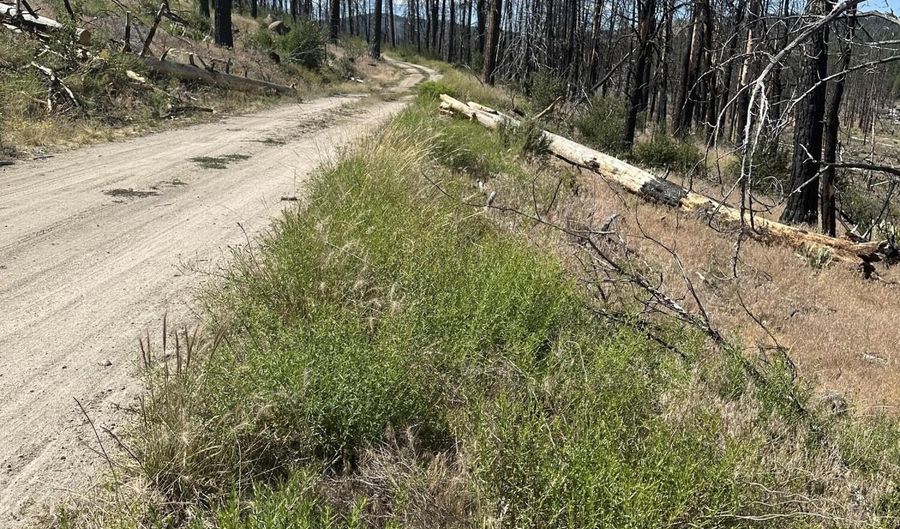 Wren Dr lot 11, Bonanza, OR 97623 - 0 Beds, 0 Bath
