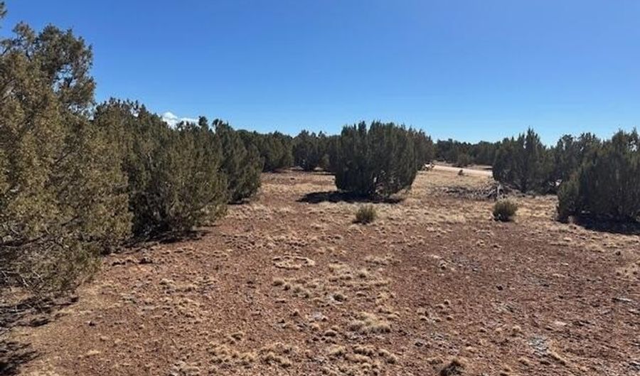 30 CR 8051 Rd, Concho, AZ 85924 - 0 Beds, 0 Bath