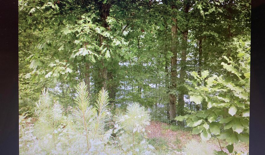 LOT 4 SPRUCE COVE, Arley, AL 35541 - 0 Beds, 0 Bath