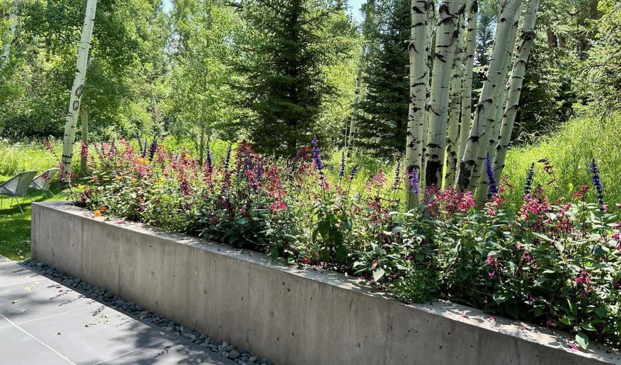 1180 Black Birch Dr, Aspen, CO 81611 - 4 Beds, 5 Bath