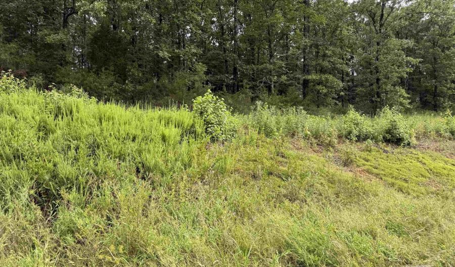 Lot 36 Crested Butte, Austin, AR 72007 - 0 Beds, 0 Bath