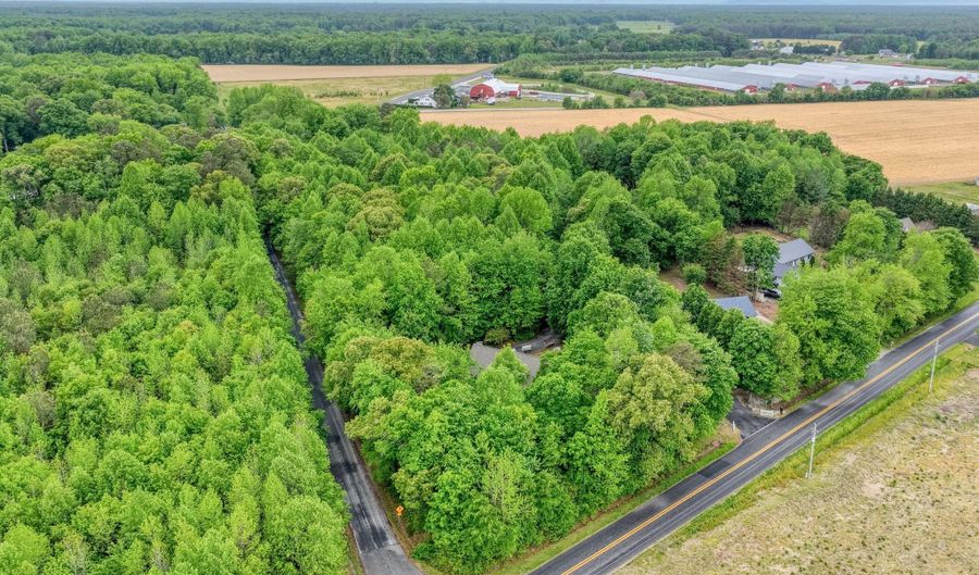 17065 SPRUCE Rd, Ellendale, DE 19941 - 5 Beds, 3 Bath