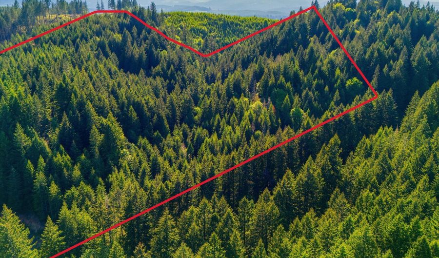 Tunnel Tract Parcel1, Banks, OR 97106 - 0 Beds, 0 Bath