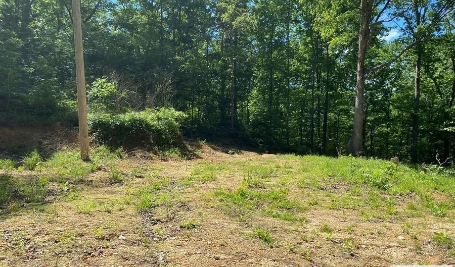 31 Catfish Dr, Big Sandy, TN 38221 - 0 Beds, 0 Bath