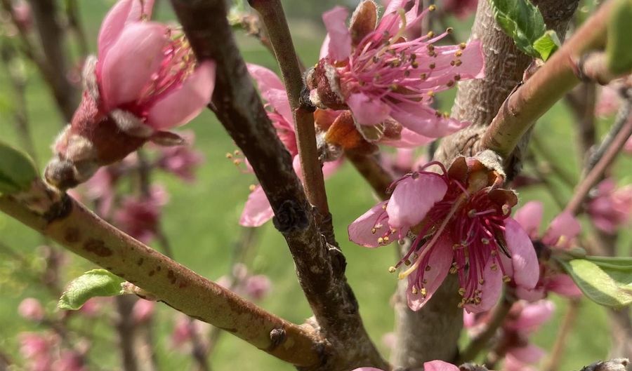 2590 220th St, Arion, IA 51520 - 4 Beds, 2 Bath