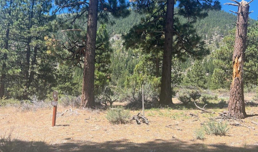 3559 Knob Point Trl 90, Carson City, NV 89705 - 0 Beds, 0 Bath
