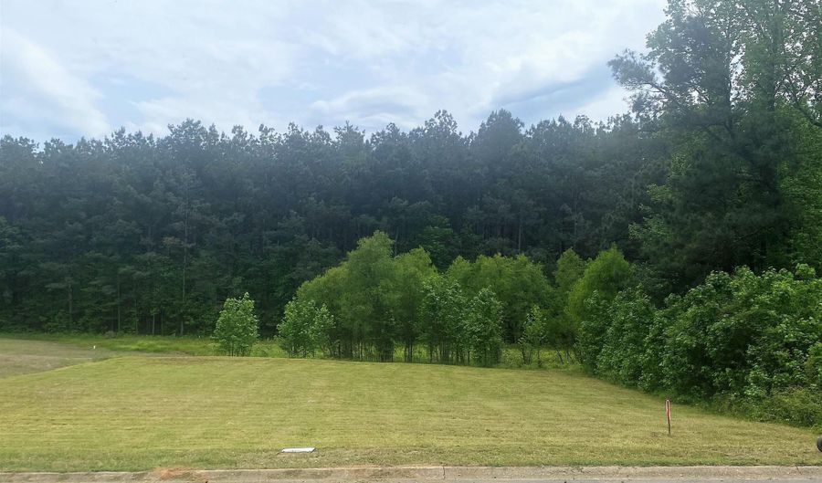 Lot 48 Willowbrook Street, Arkadelphia, AR 71923 - 0 Beds, 0 Bath