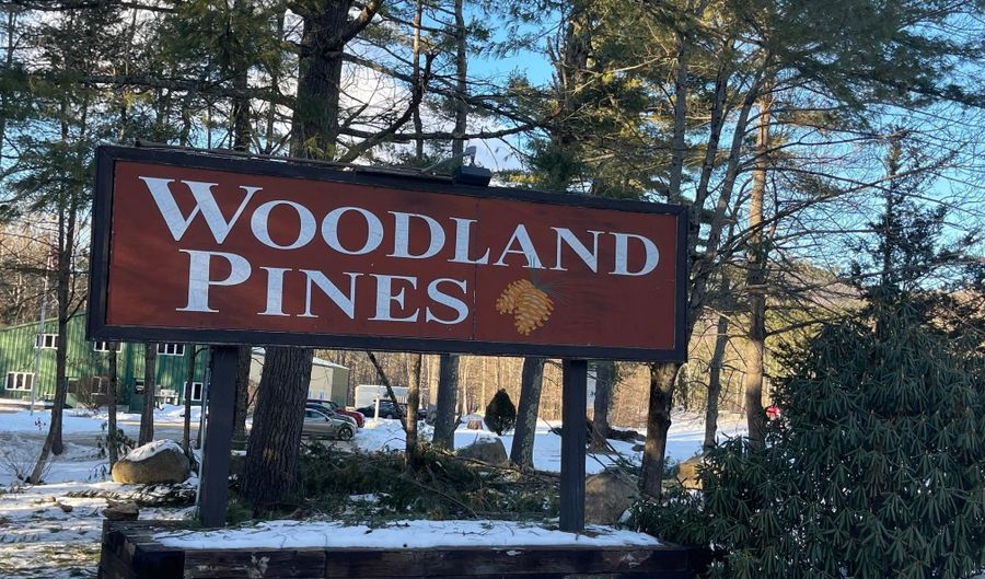 1 Woodland Pines Rd 1, Bartlett, NH 03812 - 3 Beds, 2 Bath