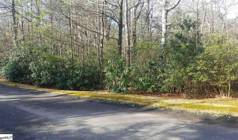 220 Conifer Falls Rd, Cleveland, SC 29635 - 0 Beds, 0 Bath